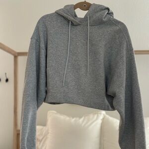 ALO Yoga Gray Cropped Hoodie